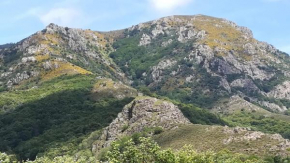 Les Rives de l'Ardèche